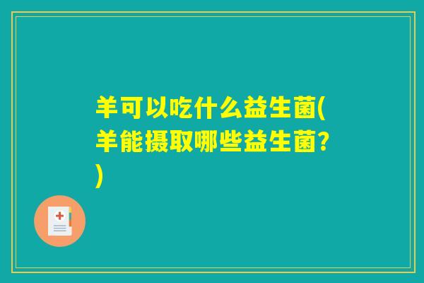 羊可以吃什么益生菌(羊能摄取哪些益生菌？)