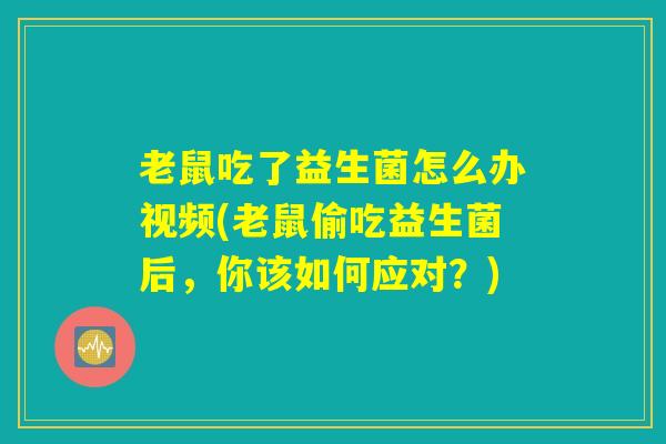 老鼠吃了益生菌怎么办视频(老鼠偷吃益生菌后，你该如何应对？)