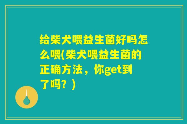 给柴犬喂益生菌好吗怎么喂(柴犬喂益生菌的正确方法，你get到了吗？)