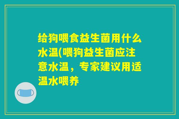 给狗喂食益生菌用什么水温(喂狗益生菌应注意水温,专家建议用适温水喂养 给狗喂食益生菌用什么水温(喂狗益生菌应注意水温,专家建议用适温水喂养