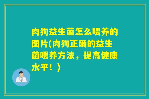 肉狗益生菌怎么喂养的图片(肉狗正确的益生菌喂养方法,提高健康水平!) 肉狗益生菌怎么喂养的图片(肉狗正确的益生菌喂养方法,提高健康水平!)