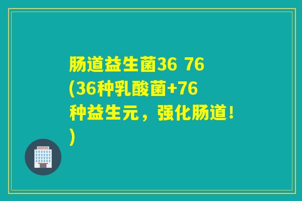 肠道益生菌36 76(36种乳酸菌+76种益生元，强化肠道！)