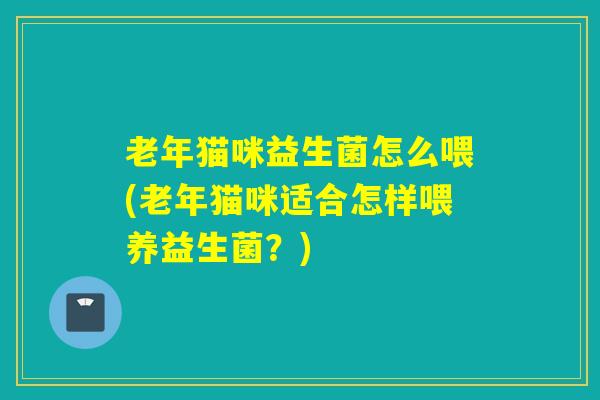 老年猫咪益生菌怎么喂(老年猫咪适合怎样喂养益生菌？)