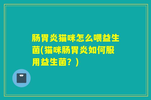 肠胃炎猫咪怎么喂益生菌(猫咪肠胃炎如何服用益生菌？)