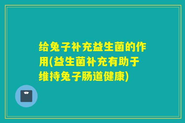 给兔子补充益生菌的作用(益生菌补充有助于维持兔子肠道健康)