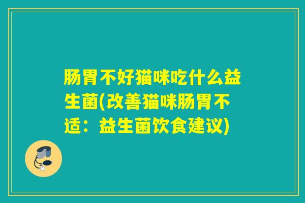 肠胃不好猫咪吃什么益生菌(改善猫咪肠胃不适：益生菌饮食建议)
