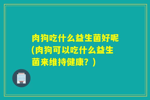 肉狗吃什么益生菌好呢(肉狗可以吃什么益生菌来维持健康？)