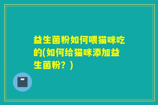 益生菌粉如何喂猫咪吃的(如何给猫咪添加益生菌粉？)