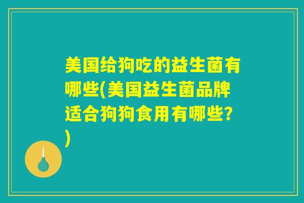 美国给狗吃的益生菌有哪些(美国益生菌品牌适合狗狗食用有哪些？)