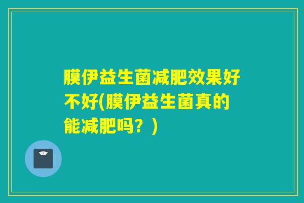膜伊益生菌减肥效果好不好(膜伊益生菌真的能减肥吗？)