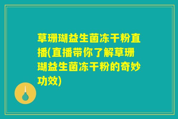 草珊瑚益生菌冻干粉直播(直播带你了解草珊瑚益生菌冻干粉的奇妙功效)