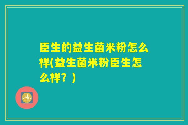 臣生的益生菌米粉怎么样(益生菌米粉臣生怎么样？)