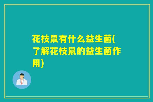 花枝鼠有什么益生菌(了解花枝鼠的益生菌作用)