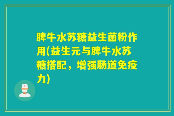 脾牛水苏糖益生菌粉作用(益生元与脾牛水苏糖搭配，增强肠道免疫力)