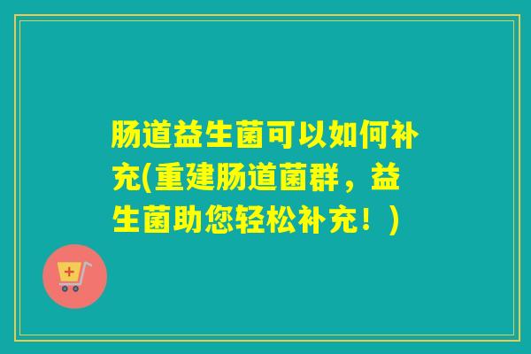 肠道益生菌可以如何补充(重建肠道菌群，益生菌助您轻松补充！)