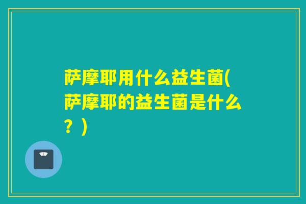 萨摩耶用什么益生菌(萨摩耶的益生菌是什么？)