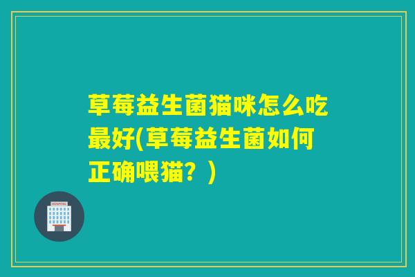 草莓益生菌猫咪怎么吃最好(草莓益生菌如何正确喂猫？)