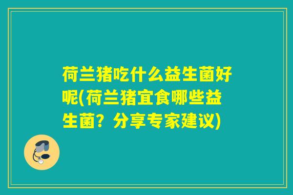 荷兰猪吃什么益生菌好呢(荷兰猪宜食哪些益生菌？分享专家建议)