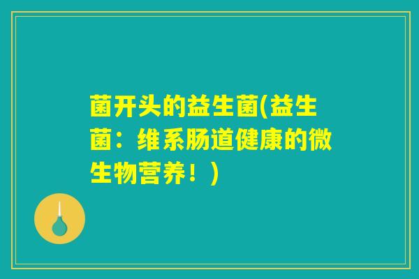菌开头的益生菌(益生菌：维系肠道健康的微生物营养！)