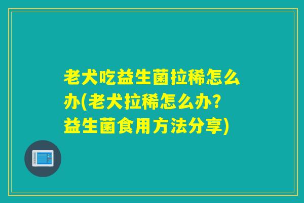 老犬吃益生菌拉稀怎么办(老犬拉稀怎么办？益生菌食用方法分享)