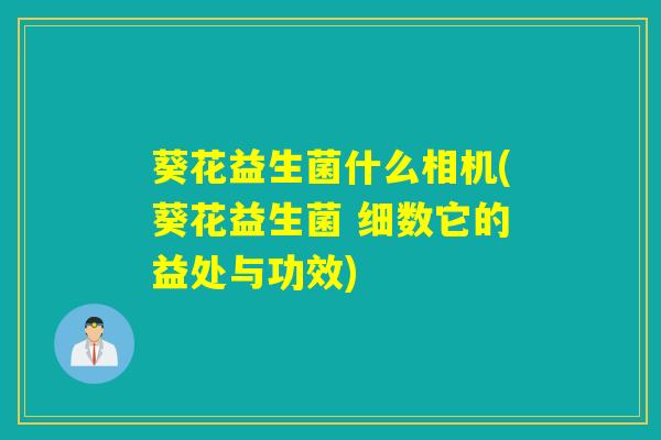 葵花益生菌什么相机(葵花益生菌 细数它的益处与功效)