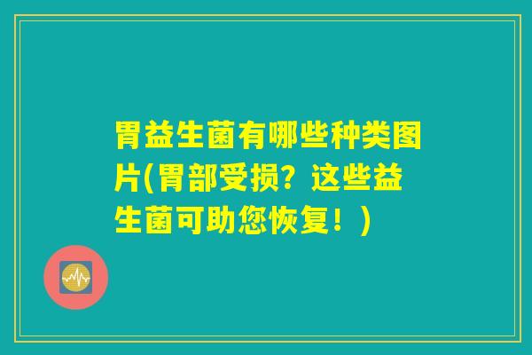 胃益生菌有哪些种类图片(胃部受损?这些益生菌可助您恢复!) 胃益生菌有哪些种类图片(胃部受损?这些益生菌可助您恢复!)