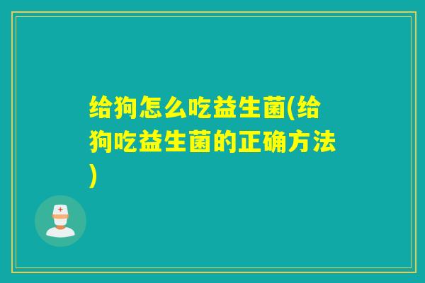 给狗怎么吃益生菌(给狗吃益生菌的正确方法)