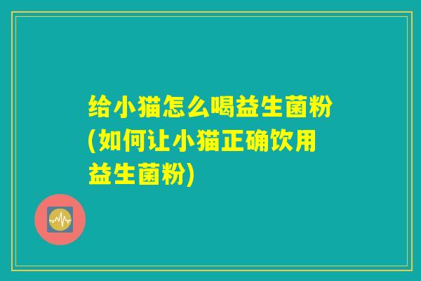 给小猫怎么喝益生菌粉(如何让小猫正确饮用益生菌粉)
