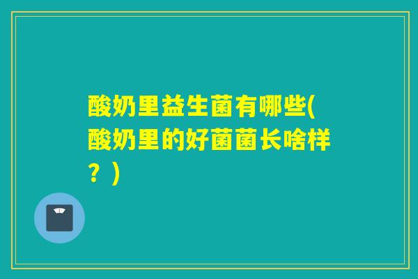 酸奶里益生菌有哪些(酸奶里的好菌菌长啥样？)