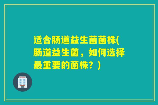 适合肠道益生菌菌株(肠道益生菌，如何选择最重要的菌株？)