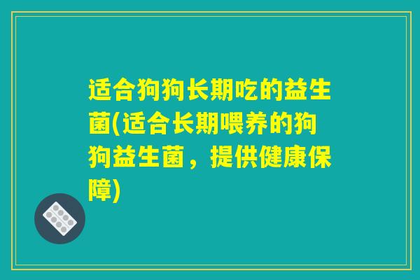 适合狗狗长期吃的益生菌(适合长期喂养的狗狗益生菌，提供健康保障)