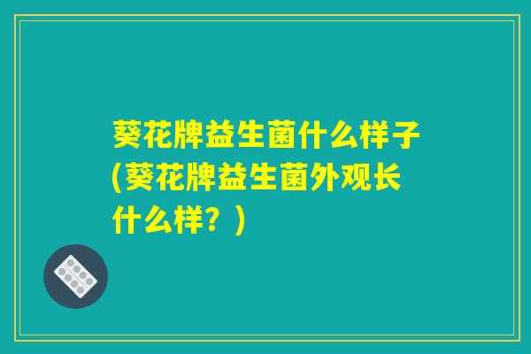 详细阅读:葵花牌益生菌什么样子(葵花牌益生菌外观长什么样?) 葵花牌益生菌什么样子(葵花牌益生菌外观长什么样?)