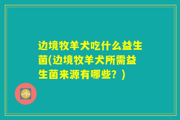 边境牧羊犬吃什么益生菌(边境牧羊犬所需益生菌来源有哪些？)