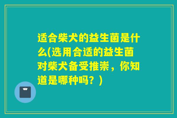 适合柴犬的益生菌是什么(选用合适的益生菌对柴犬备受推崇，你知道是哪种吗？)