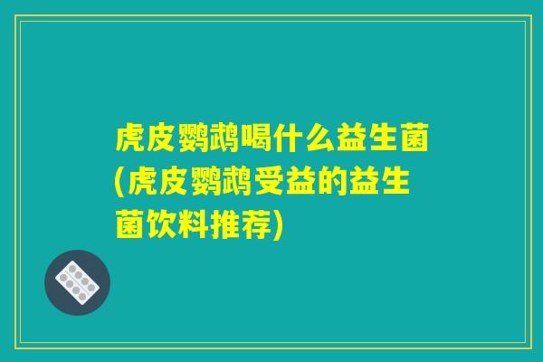 虎皮鹦鹉喝什么益生菌(虎皮鹦鹉受益的益生菌饮料推荐)