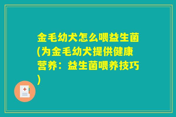 金毛幼犬怎么喂益生菌(为金毛幼犬提供健康营养：益生菌喂养技巧)