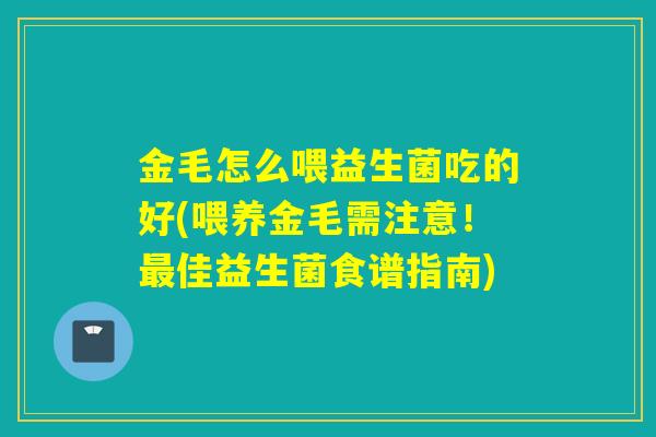 金毛怎么喂益生菌吃的好(喂养金毛需注意！最佳益生菌食谱指南)