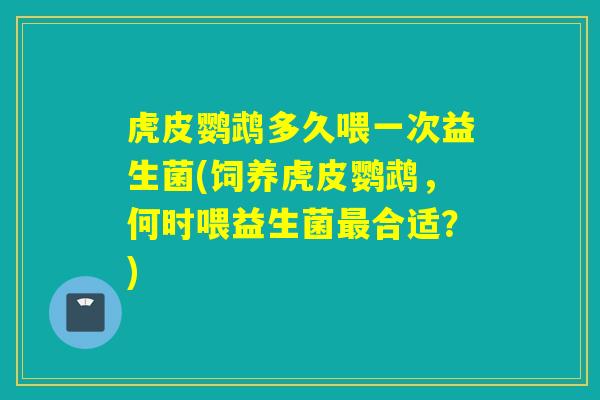 虎皮鹦鹉多久喂一次益生菌(饲养虎皮鹦鹉,何时喂益生菌合适?) 虎皮鹦鹉多久喂一次益生菌(饲养虎皮鹦鹉,何时喂益生菌合适?)
