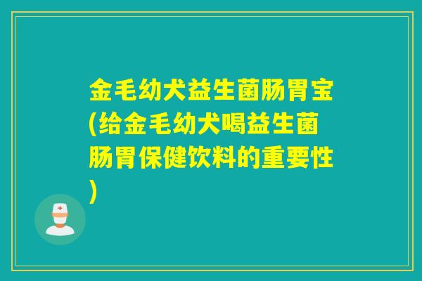 金毛幼犬益生菌肠胃宝(给金毛幼犬喝益生菌肠胃保健饮料的重要性)
