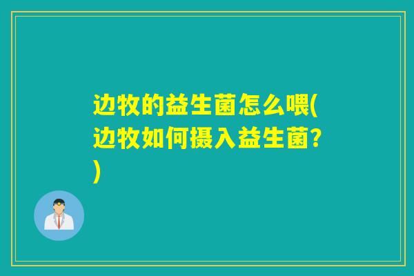 边牧的益生菌怎么喂(边牧如何摄入益生菌？)