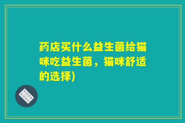 药店买什么益生菌给猫咪吃益生菌，猫咪舒适的选择)