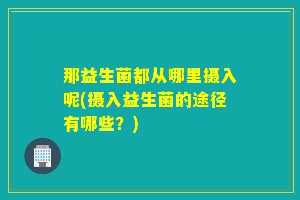 那益生菌都从哪里摄入呢(摄入益生菌的途径有哪些？)