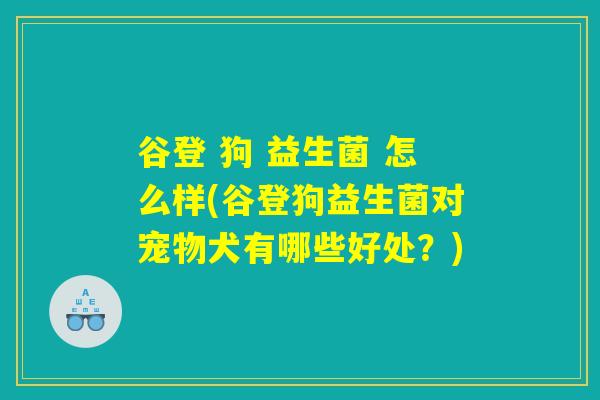 谷登 狗 益生菌 怎么样(谷登狗益生菌对宠物犬有哪些好处？)