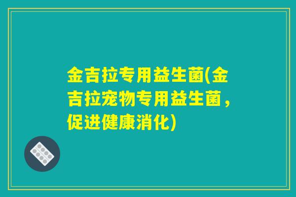 金吉拉专用益生菌(金吉拉宠物专用益生菌，促进健康消化)