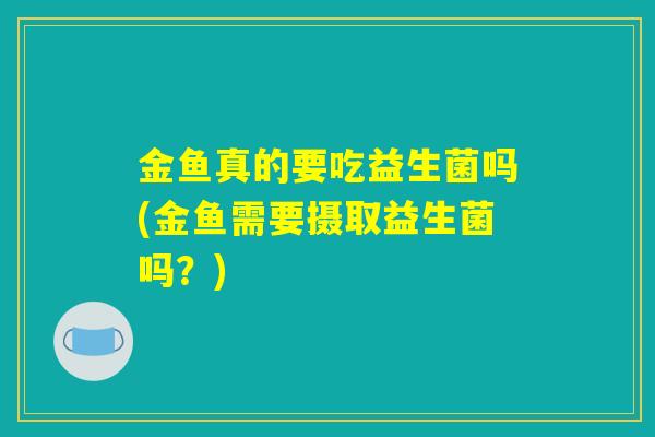 金鱼真的要吃益生菌吗(金鱼需要摄取益生菌吗？)