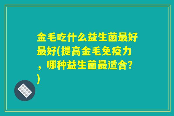 金毛吃什么益生菌最好最好(提高金毛免疫力，哪种益生菌最适合？)