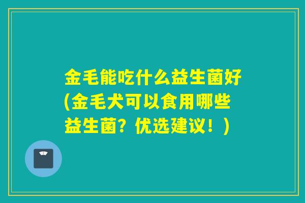 金毛能吃什么益生菌好(金毛犬可以食用哪些益生菌？优选建议！)