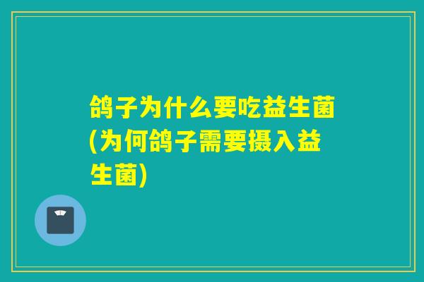 鸽子为什么要吃益生菌(为何鸽子需要摄入益生菌)