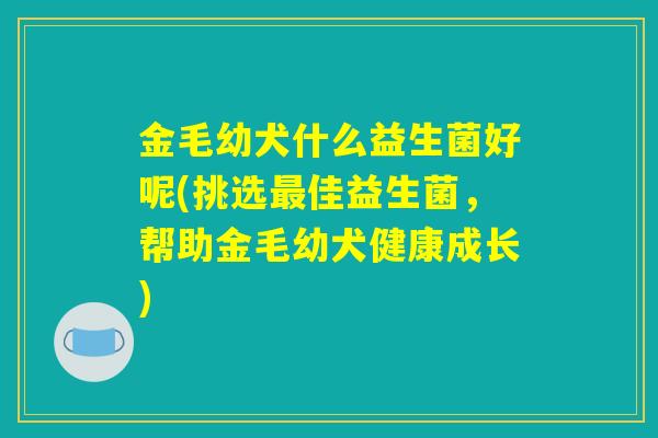 金毛幼犬什么益生菌好呢(挑选最佳益生菌，帮助金毛幼犬健康成长)