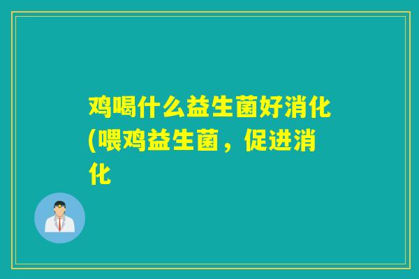 鸡喝什么益生菌好消化(喂鸡益生菌，促进消化